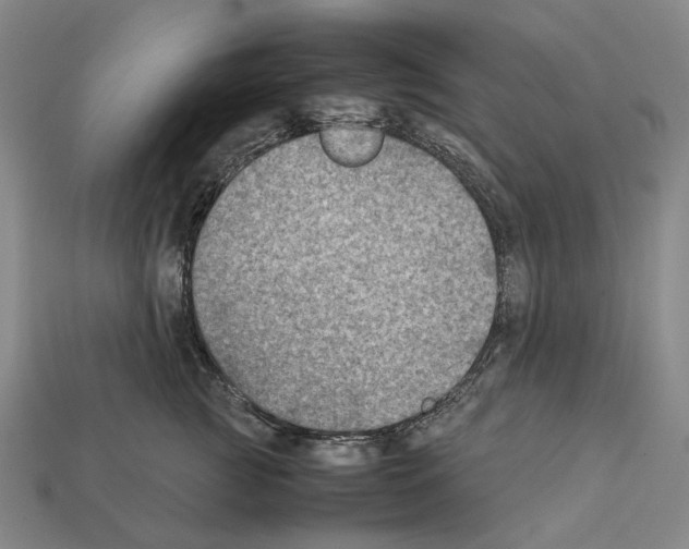 X0000112410761200909251455
