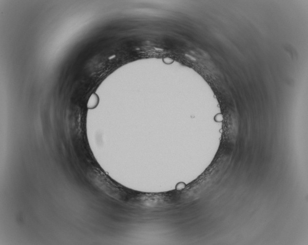 X0000112410762200909251455