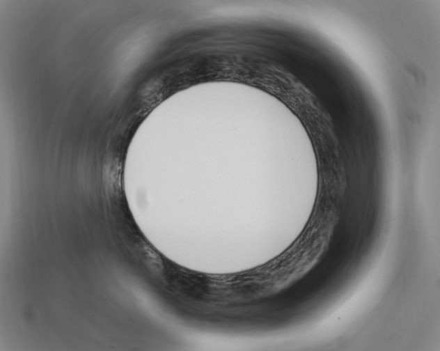 X0000112410766200909251456