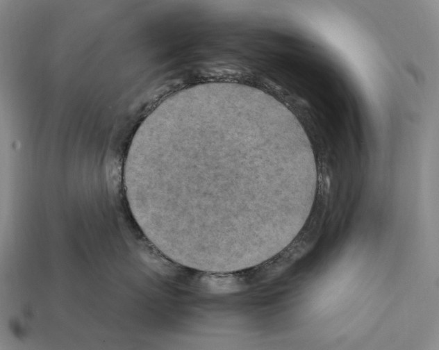 X0000112410767200909251456