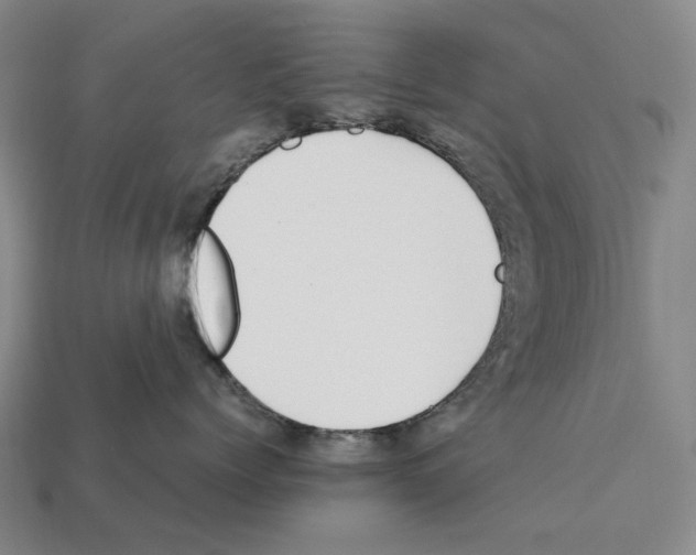 X0000112410768200909251456
