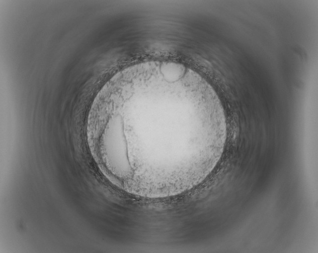 X0000112410769200909251455