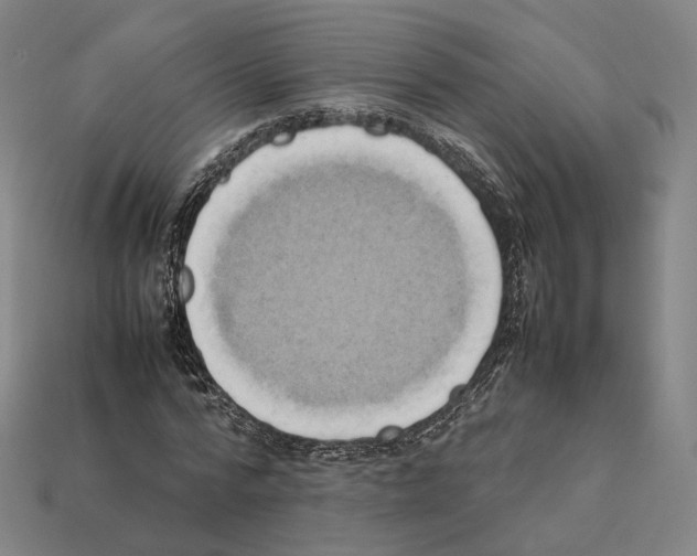 X0000112410776200909251455