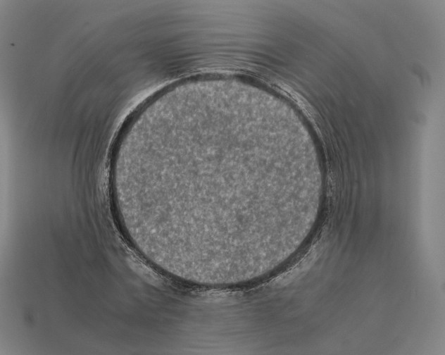 X0000112410779200909251455