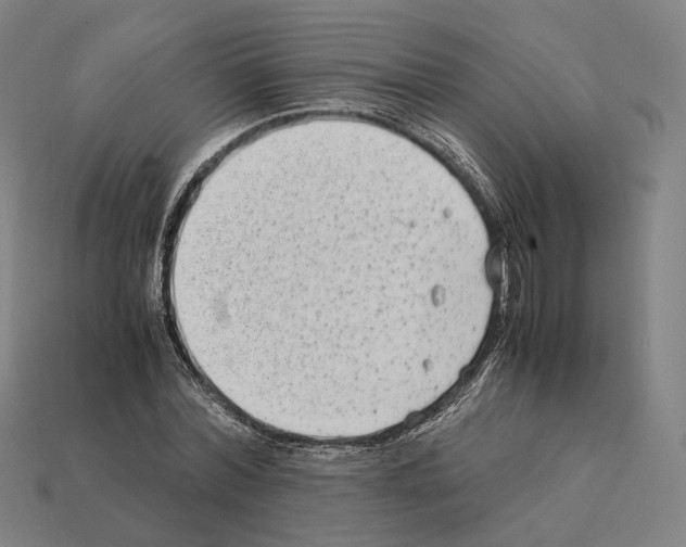 X0000112410780200909251455