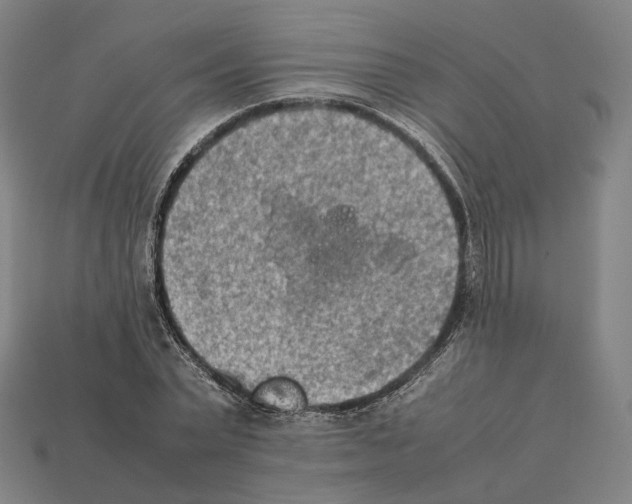 X0000112410783200909251455