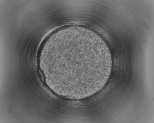 X0000112410784200909251455