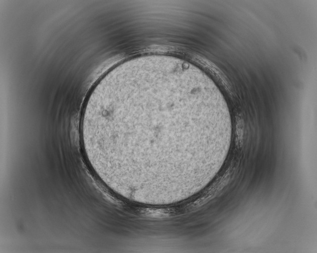 X0000112410794200909251455