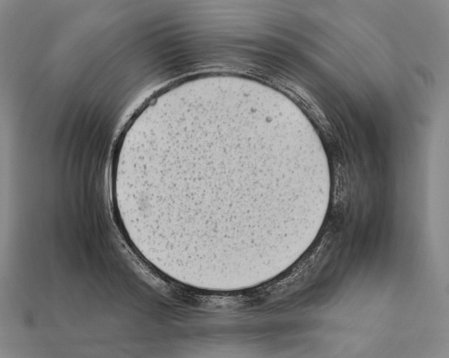 X0000112410796200909251455
