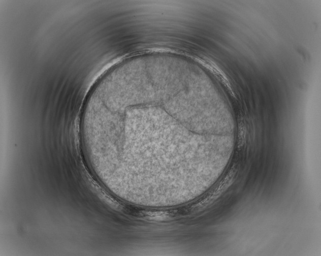X0000112410798200909251455