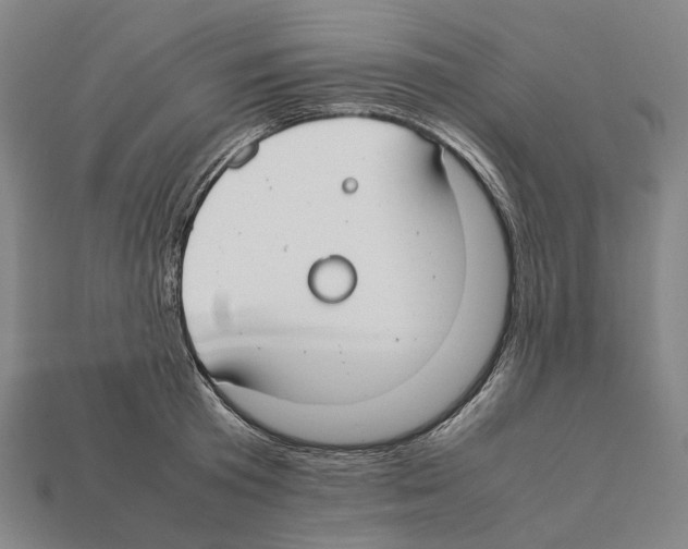 X0000112410801200909251455