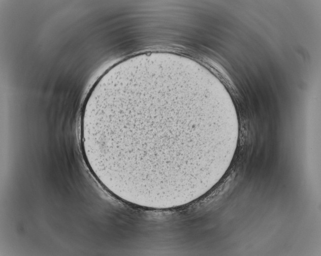 X0000112410804200909251454
