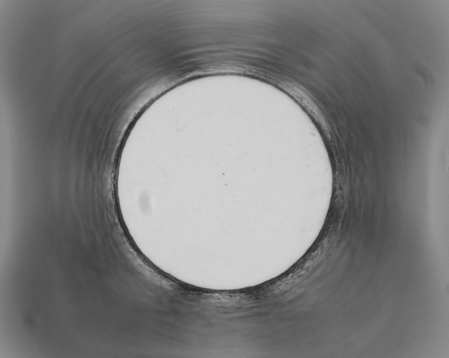 X0000112410805200909251454