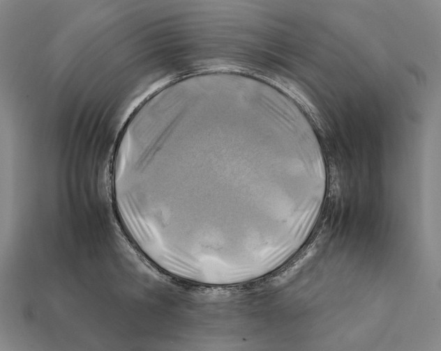 X0000112410806200909251454