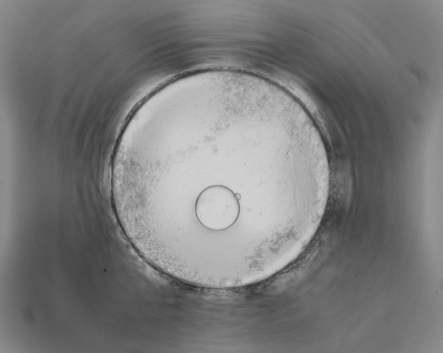 X0000112410807200909251454