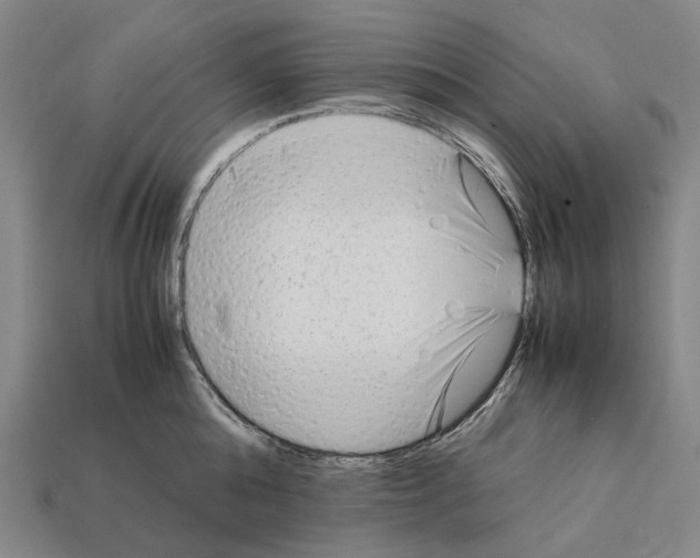 X0000112410808200909251454