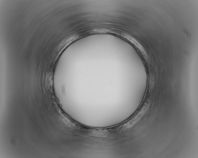 X0000112410809200909251454