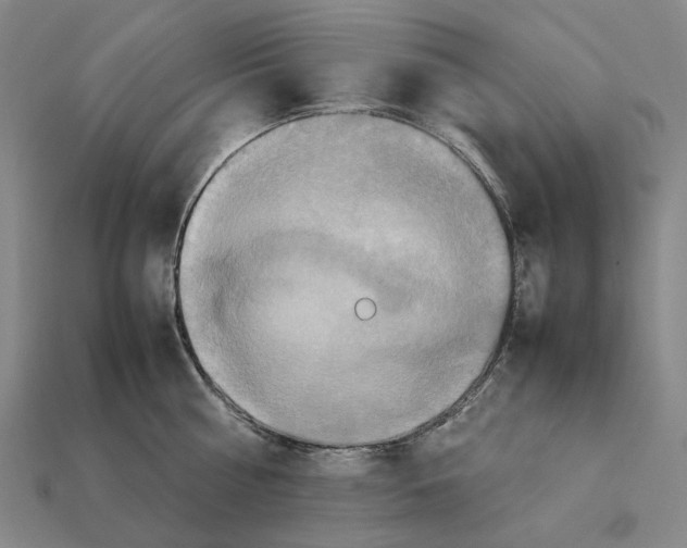 X0000112410810200909251454