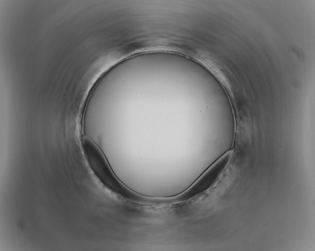 X0000112410813200909251454