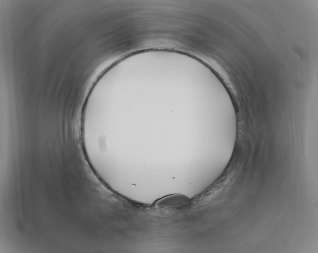 X0000112410815200909251454
