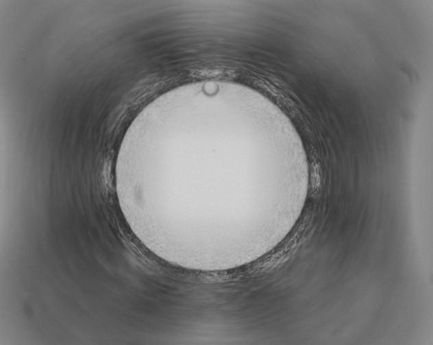 X0000112410820200909251454