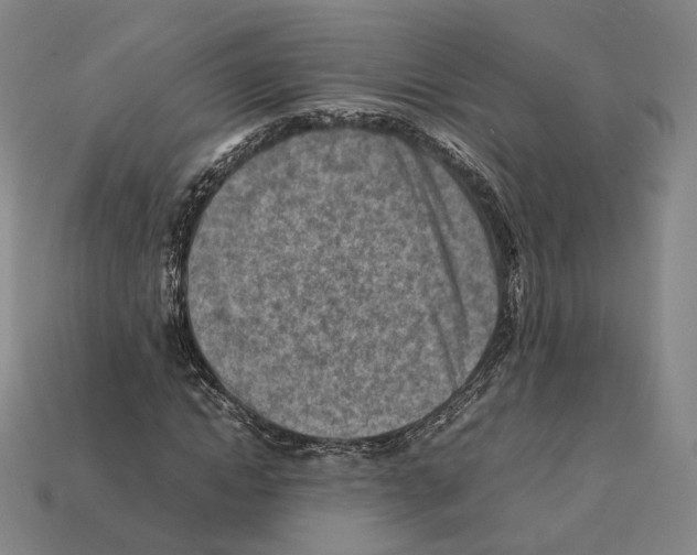X0000112410822200909251454