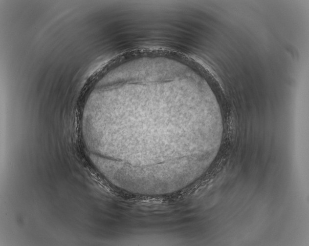 X0000112410823200909251454