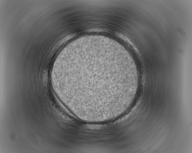 X0000112410825200909251454