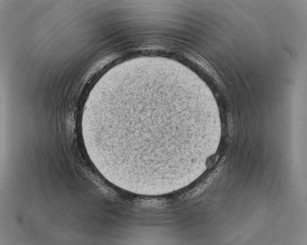 X0000112410826200909251454
