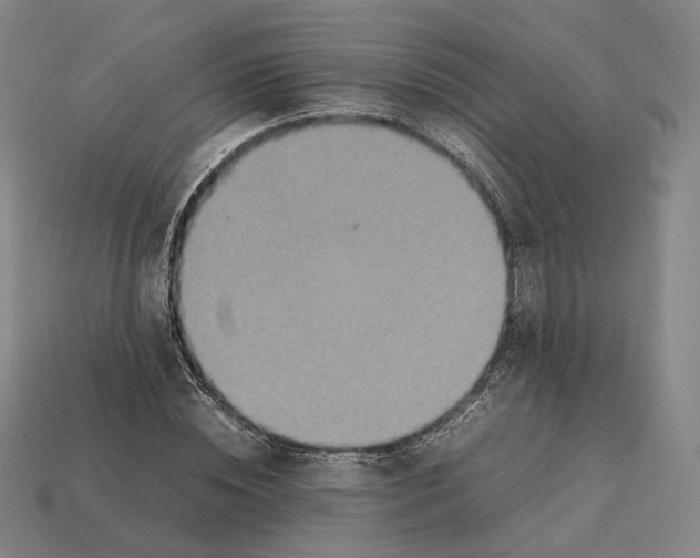 X0000112410828200909251454