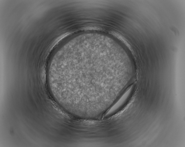 X0000112410829200909251454