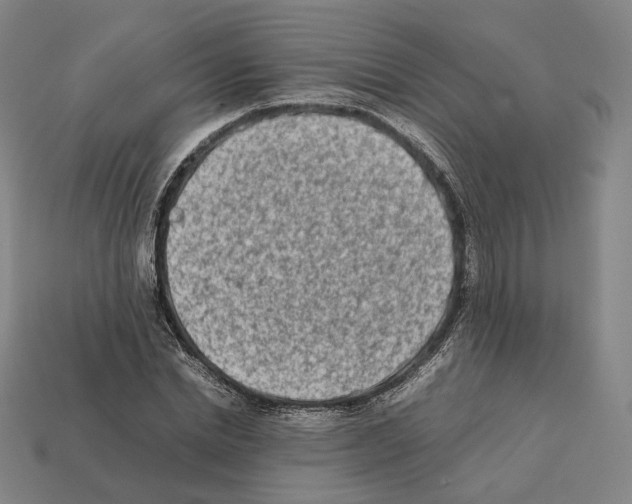 X0000112410830200909251454