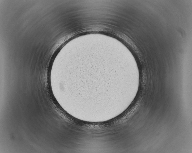 X0000112410834200909251454