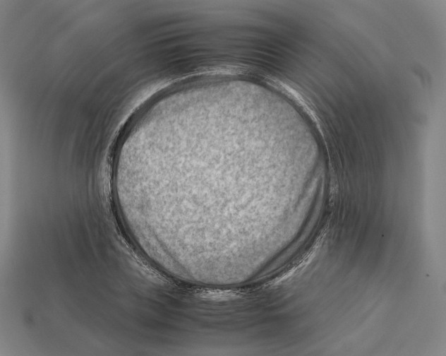 X0000112410835200909251454