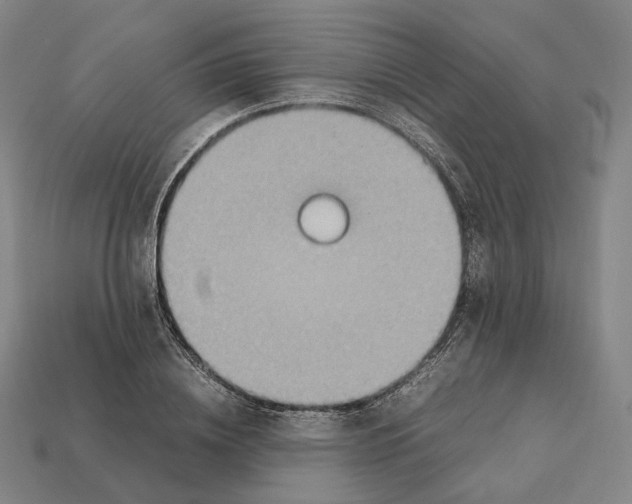 X0000112410836200909251454
