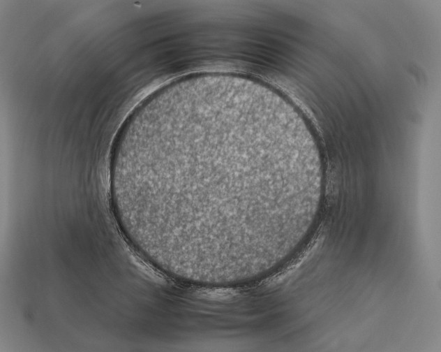 X0000112410837200909251454
