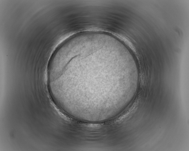 X0000112410839200909251454