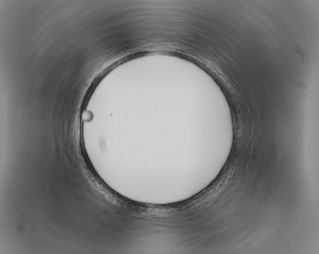 X0000112410840200909251454