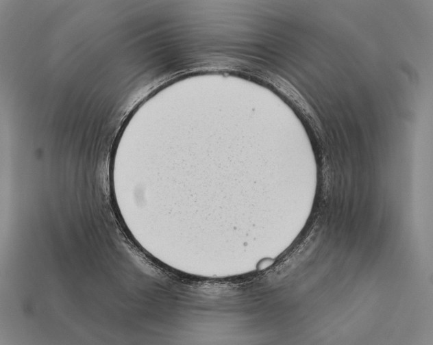 X0000112410842200909251454