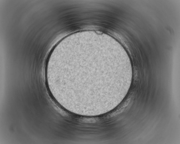 X0000112410843200909251454