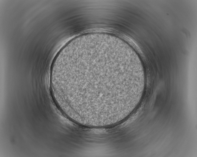 X0000112410844200909251454