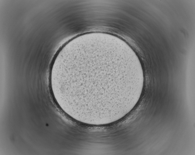 X0000112410846200909251454