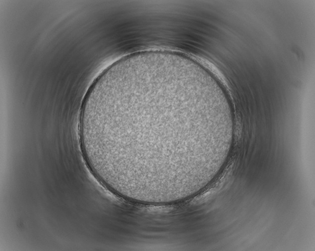 X0000112410847200909251454