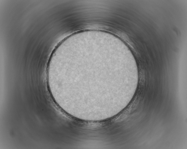 X0000112410848200909251454