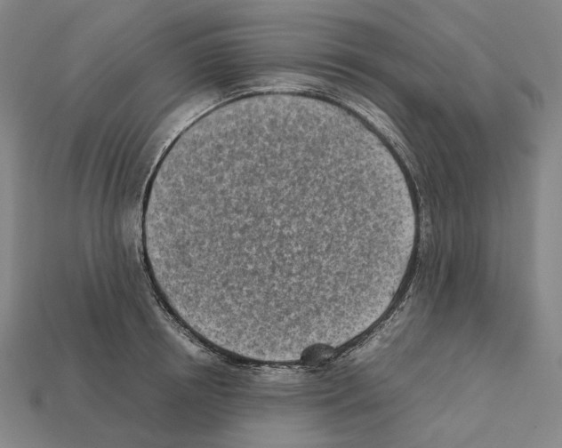 X0000112410850200909251454