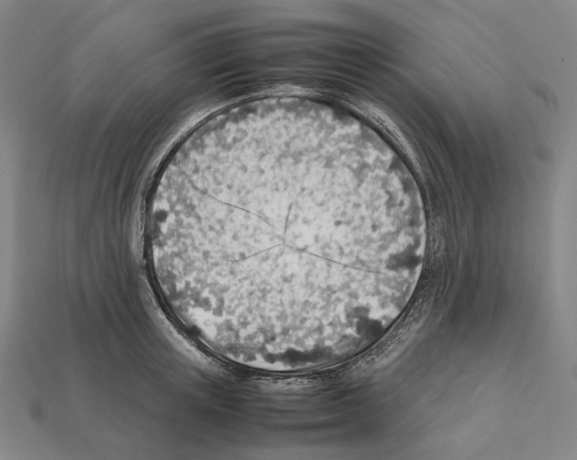X0000112410851200909251454