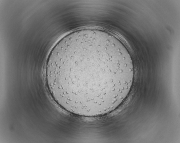 X0000112410852200909251454