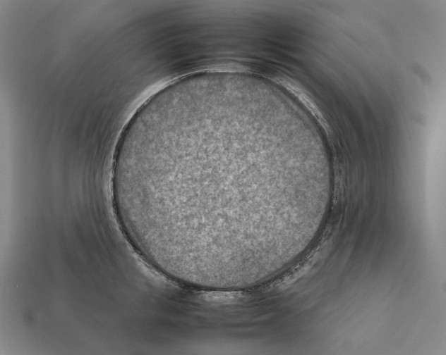 X0000112410853200909251454