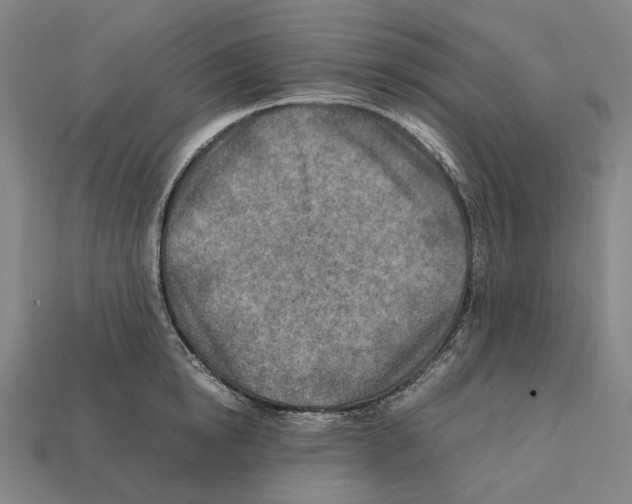 X0000112410854200909251454