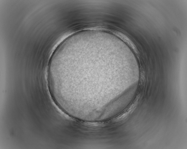 X0000112410855200909251454